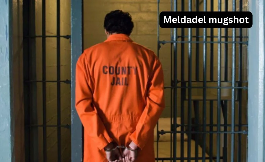 Social Media Response to the Meldadel Mugshot 