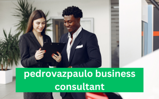 pedrovazpaulo business consultant