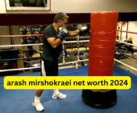 arash mirshokraei net worth