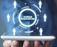 pedrovazpaulo human resource consulting