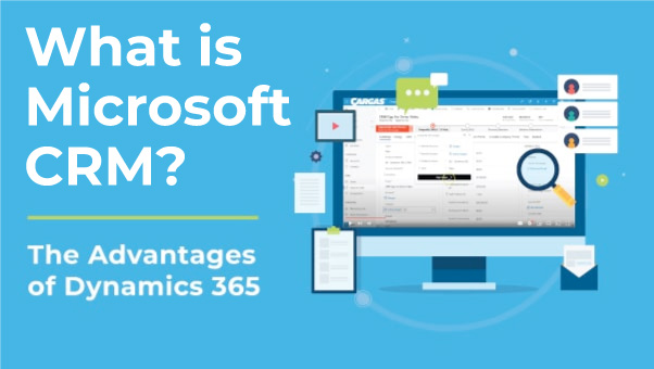 MS CRM SOFTWARE