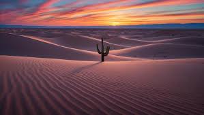 DESERT LIGHT
