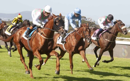 top-tier horse racing venues