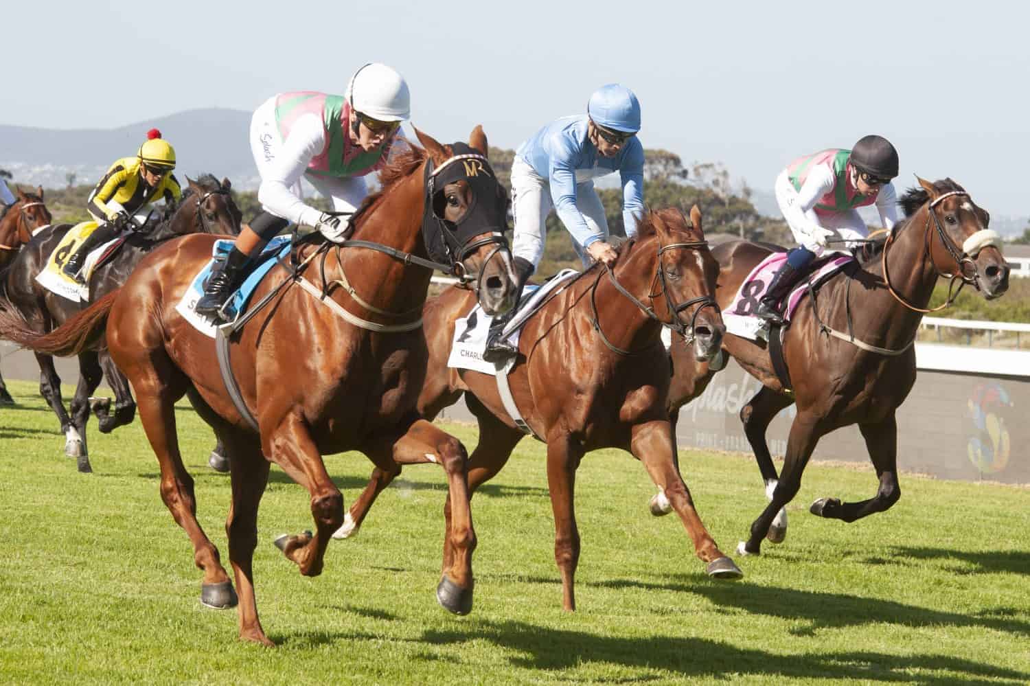 top-tier horse racing venues