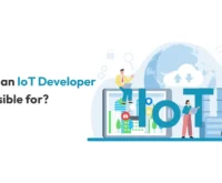 what is an iot developer responsible for