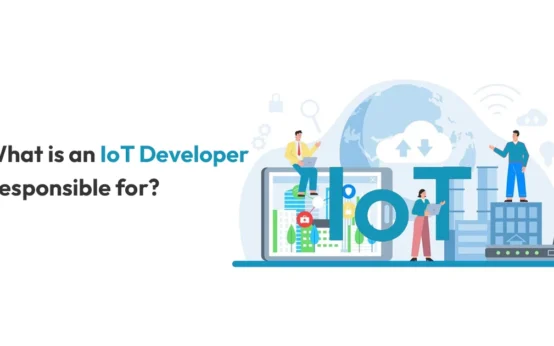 what is an iot developer responsible for