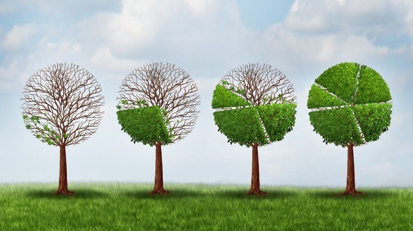 what are some wow moment metaphor