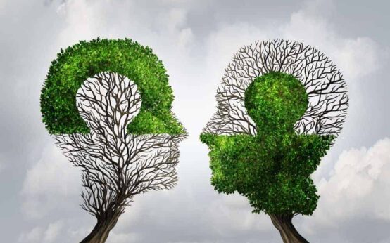 what are some wow moment metaphor